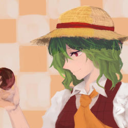 Rule 34 | 1girl, ascot, checkered background, collared shirt, green hair, hat, highres, holding, kazami yuuka, looking at object, medium hair, noel (pixiv5459099), plaid, plaid vest, red eyes, shirt, smile, solo, straw hat, touhou, upper body, vest