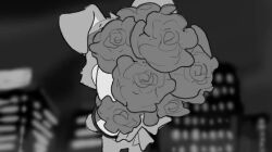 Rule 34 | animated, bouquet, city, couple, digimon, flower, furry, gaomon, gloves, holding, holding bouquet, horns, looking at another, machgaogamon, meme, monochrome, night, outdoors, pencil, scarf, snapping fingers, sound, terriermon, turuiemon, video