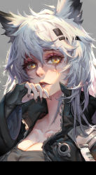 Rule 34 | 1girl, animal ears, arknights, breasts, cleavage, collarbone, eyelashes, female focus, fingerless gloves, fingernails, gloves, grey background, hair ornament, hairclip, hand to own mouth, highres, lappland (arknights), lips, long fingernails, looking at viewer, messy hair, nail polish, portrait, scar, short hair, simple background, solo, train hb, white hair, yellow eyes