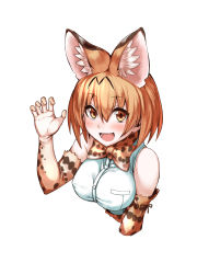 Rule 34 | 10s, 1girl, :d, animal ears, blonde hair, breasts, cat ears, elbow gloves, fang, gloves, highres, kemono friends, looking at viewer, medium breasts, miyanagi, open mouth, print gloves, serval (kemono friends), serval print, short hair, simple background, smile, solo, upper body, white background, white gloves, yellow eyes