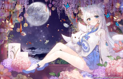 Rule 34 | 1girl, animal ears, apple caramel, bad id, bad pixiv id, beach, blue eyes, blunt bangs, breasts, bug, butterfly, candle, commentary, flower, fox ears, fox girl, fox tail, full moon, highres, horizon, insect, kitsune, korean clothes, kyuubi, kyuubi, large breasts, long hair, long sleeves, looking at viewer, moon, multiple tails, night, night sky, ocean, original, petals, pleated skirt, seiza, sidelocks, sitting, skirt, sky, solo, star (sky), starry sky, stuffed animal, stuffed cat, stuffed toy, symbol-only commentary, tail, white hair, wooden floor