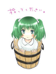 Rule 34 | 1girl, bad id, bad pixiv id, bucket, female focus, green hair, in bucket, in container, kisume, rin (artist), rin (royal), solo, touhou