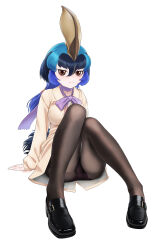 Rule 34 | 1girl, beleven, bird girl, bird tail, black footwear, blue hair, bow, breasts, brown eyes, cameltoe, cardigan, closed mouth, collarbone, collared cardigan, dot nose, eyelashes, hair between eyes, highres, kemono friends, large breasts, long sleeves, mixed-language commentary, multicolored hair, panties, panties under pantyhose, pantyhose, pantyshot, purple bow, sitting, smile, solo, southern cassowary (kemono friends), tail, twitter username, undershirt, underwear, white background