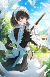 Rule 34 | 1girl, :d, animal, apron, back bow, bird, black hair, blue sky, blush, bow, broom, cat, day, dove, feathers, frilled apron, frills, from behind, garden, green eyes, highres, holding, holding broom, juliet sleeves, long sleeves, looking at viewer, looking back, maid, maid headdress, open mouth, original, outdoors, plus1024, puffy sleeves, short hair, sky, smile, solo, teeth, upper teeth only, white apron, white bow, white cat, wrist cuffs