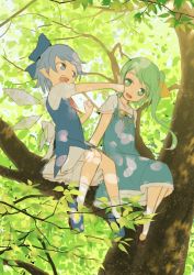 Rule 34 | 2girls, blue dress, blue eyes, blue footwear, blue hair, bow, cirno, clenched hands, daiyousei, dress, green eyes, green hair, hair bow, hair ribbon, ice, ice wings, in tree, irigoma (jikabi baisen), leaf, multiple girls, open mouth, pointy ears, puffy short sleeves, puffy sleeves, ribbon, shoes, short hair, short sleeves, side ponytail, sitting, sitting in tree, smile, socks, touhou, tree, wings