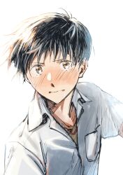 Rule 34 | 1boy, absurdres, ain 53only, black hair, blush, brown eyes, collared shirt, crying, crying with eyes open, highres, ikari shinji, male focus, neon genesis evangelion, portrait, school uniform, shirt, solo, tears, white background