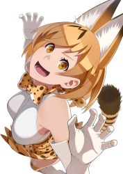 Rule 34 | 10s, 1girl, animal ears, bare shoulders, blonde hair, bow, bowtie, cat ears, cat tail, from above, gloves, go robots, kemono friends, looking at viewer, open mouth, serval (kemono friends), serval print, serval tail, short hair, sleeveless, tail, thighhighs