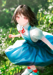 Rule 34 | 1girl, absurdres, blue dress, brown hair, closed mouth, collared shirt, dress, grass, highres, looking at viewer, medium hair, neck ribbon, ojay tkym, on grass, original, outdoors, red eyes, red ribbon, red socks, ribbon, school uniform, shirt, shoes, short sleeves, smile, sneakers, socks, tokyo-3 middle school uniform, white footwear, white shirt