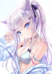 Rule 34 | 1girl, animal ears, bare shoulders, bikini, blue eyes, blush, breasts, cat ears, cleavage, closed mouth, collarbone, commentary request, hair ornament, hair ribbon, hairclip, highres, hou no ka, jacket, long hair, looking at viewer, medium breasts, nail polish, open clothes, open jacket, original, ribbon, shironeko project, silver hair, simple background, sleeves past wrists, solo, swimsuit, twintails, white background, white bikini