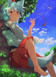 Rule 34 | 2girls, animal ears, barefoot, black skirt, cigarette, cloud, commentary request, day, hat, highres, holding, holding cigarette, in tree, inubashiri momiji, japanese clothes, multiple girls, outdoors, parted lips, red eyes, red skirt, shameimaru aya, sitting, sitting in tree, skirt, sky, smoking, tail, taking picture, tokin hat, touhou, tree, white hair, wide sleeves, wolf ears, wolf tail, yamabuki (yamabuki xxxxx)