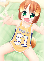 Rule 34 | 1girl, ahoge, animal ears, bare arms, blush, brown eyes, brown hair, child, collarbone, dog ears, dog tail, dollar sign, eyebrows, fang, flat chest, green eyes, inuarashi, looking at viewer, meiko (inuarashi), open mouth, original, outstretched arms, outstretched hand, pov, reaching, reaching towards viewer, shirt, short hair, sitting, solo, spread legs, tail, tissue box