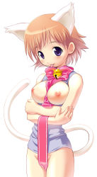 Rule 34 | 1girl, :p, animal ears, artist request, bell, between breasts, blush, bottomless, breasts, cat ears, cat tail, cowboy shot, crossed arms, extra ears, highres, inverted nipples, jingle bell, looking at viewer, nipples, no panties, original, pink ribbon, purple eyes, ribbon, short hair, sleeveless, solo, tail, tongue, tongue out, topless, white background