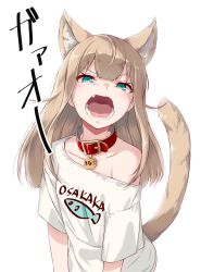 Rule 34 | 1girl, 40hara, animal ear fluff, animal ears, aqua eyes, blonde hair, cat ears, cat girl, cat tail, clothes writing, collar, fang, flat chest, highres, kinako (40hara), long hair, looking at viewer, off shoulder, open mouth, original, print shirt, shirt, simple background, solo, tail, teeth, white background