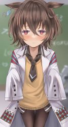 Rule 34 | 1girl, :t, agnes tachyon (umamusume), animal ears, black necktie, black pantyhose, blurry, blush, brown hair, chalkboard, cobra (cobra 63), commentary, cowboy shot, depth of field, highres, horse ears, lab coat, necktie, pantyhose, red eyes, short hair, sleeves past wrists, solo, symbol-only commentary, tearing up, umamusume, vest, yellow vest