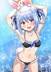 Rule 34 | 1girl, absurdres, animal ear fluff, animal ears, armpits, arms up, bikini, black bikini, blue hair, blue ribbon, blush, breasts, carrot hair ornament, choker, collarbone, commentary, extra ears, food-themed hair ornament, frilled bikini, frills, front-tie bikini top, front-tie top, fuyumi kazuki, hair ornament, hair ribbon, hairclip, highres, hikimayu, hololive, looking at viewer, multicolored hair, navel, pekomon (usada pekora), open mouth, orange eyes, rabbit-shaped pupils, rabbit ears, rabbit girl, rabbit tail, ribbon, short eyebrows, short hair, small breasts, smile, solo, swimsuit, symbol-shaped pupils, tail, teeth, thick eyebrows, twintails, two-tone hair, two side up, upper teeth only, usada pekora, virtual youtuber, white choker, white hair