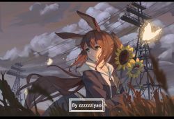 Rule 34 | 1girl, amiya (arknights), animal, animal ears, arknights, artist name, black jacket, blue eyes, blurry, blurry foreground, brown hair, bug, butterfly, cloud, cloudy sky, commentary request, day, depth of field, eyebrows hidden by hair, field, flower, full body, glowing, hair between eyes, hood, hood down, hoodie, insect, jacket, letterboxed, long sleeves, looking away, looking to the side, hugging object, open clothes, open jacket, outdoors, parted lips, ponytail, power lines, puffy long sleeves, puffy sleeves, rabbit ears, sky, sleeves past wrists, solo, sunflower, transmission tower, white hoodie, yellow flower, zzzzzziyao