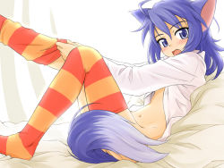 Rule 34 | 1girl, animal ears, blue eyes, blue hair, cat ears, commentary request, looking at viewer, matching hair/eyes, open mouth, punto, solo, striped clothes, striped thighhighs, summon night, tail, thighhighs, yuel