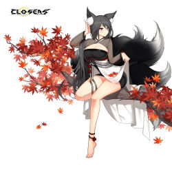 Rule 34 | 1girl, adjusting hair, alternate hair color, animal ear fluff, animal ears, autumn leaves, barefoot, black dress, black hair, black sleeves, black tail, branch, breasts, bright pupils, cleavage, cleavage cutout, closed mouth, closers, clothing cutout, dress, falling leaves, fingernails, fox ears, fox girl, fox tail, full body, hand up, highres, kitsune, kyuubi, large breasts, layered dress, leaf, long fingernails, long hair, long sleeves, looking to the side, low ponytail, maple leaf, mirae (closers), multiple tails, official art, on branch, pinky out, red eyes, see-through, see-through sleeves, short dress, sitting, sitting on branch, skirt hold, solo, tail, two-tone dress, white background, white dress, white pupils