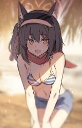 Rule 34 | 1girl, animal ear fluff, animal ears, bandana, bare shoulders, bikini, blue archive, blue shorts, blurry, blush, breasts, brown hair, cleavage, depth of field, fox ears, halo, highres, izuna (blue archive), izuna (swimsuit) (blue archive), kagerou (gigayasoma), medium breasts, medium hair, navel, open mouth, shorts, side ponytail, sketch, smile, solo, striped bikini, striped clothes, swimsuit, v arms, visor cap, yellow eyes