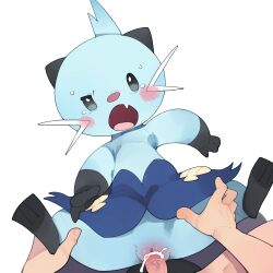 Rule 34 | 1boy, 1girl, blush, creatures (company), cum, cum in pussy, dewott, fang, furry, furry female, furry with non-furry, game freak, gen 5 pokemon, hetero, interspecies, nintendo, penis, pokemon, pokemon (creature), pokephilia, pussy, seashell, sex, shell, simple background, tears, vaginal, veins, veiny penis, whiskers, white background, youjo modoki