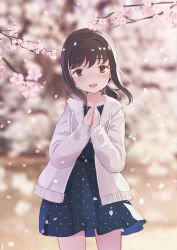Rule 34 | 1girl, :d, anchor symbol, blue dress, blurry, blurry background, blurry foreground, blush, branch, brown eyes, brown hair, cherry blossoms, collarbone, commentary request, cowboy shot, day, depth of field, drawstring, dress, emia wang, fingernails, flower, fubuki (kancolle), highres, hood, hood down, hooded jacket, jacket, kantai collection, long hair, long sleeves, looking at viewer, open clothes, open jacket, open mouth, outdoors, own hands together, petals, pink flower, pleated dress, polka dot, polka dot dress, short ponytail, sidelocks, smile, solo, standing, teeth, upper teeth only, white jacket, wind