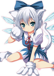 Rule 34 | 1girl, animal ears, animal hands, blue dress, blue eyes, blue skirt, bow, cat ears, cat tail, cirno, dress, gloves, hair bow, highres, ice, ice wings, kemonomimi mode, looking at viewer, ma-yu, paw gloves, paw pose, paw shoes, puffy sleeves, shirt, shoes, short sleeves, silver hair, simple background, sitting, skirt, solo, tail, touhou, wariza, white background, wings