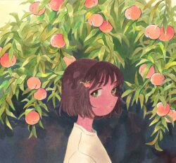 Rule 34 | 1girl, brown hair, commentary, english commentary, food, food-themed hair ornament, fruit, fruit hair ornament, green eyes, hair ornament, heikala, highres, leaf, looking at viewer, original, painting (medium), peach, peach hair ornament, peach tree, shirt, short hair, solo, t-shirt, traditional media, tree, watercolor (medium), white shirt