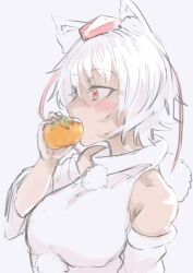 Rule 34 | 1girl, animal ear fluff, animal ears, bare shoulders, breasts, eating, food, fruit, hat, highres, holding, holding food, inubashiri momiji, medium breasts, orange (fruit), pom pom (clothes), red eyes, shirt, short hair, solo, teeth, tokin hat, touhou, upper body, upper teeth only, white background, white hair, white shirt, white sleeves, wolf ears, wolf girl, yoyoiro (sysi20)
