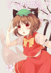 Rule 34 | 1girl, animal ears, bou (5421851), brown hair, cat ears, cat tail, chen, cherry blossoms, chestnut mouth, hat, highres, mob cap, multiple tails, nekomata, red eyes, short hair, solo, tail, touhou, two tails
