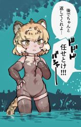 Rule 34 | 1girl, absurdres, animal ears, bare shoulders, blonde hair, blush, brown hair, commentary request, cosplay, elbow gloves, fingerless gloves, giant otter (kemono friends), giant otter (kemono friends) (cosplay), gloves, grey gloves, grey one-piece swimsuit, grey thighhighs, highres, jaguar (kemono friends), jaguar ears, jaguar girl, jaguar tail, kemono friends, multicolored hair, one-piece swimsuit, short hair, sleeveless, solo, swimsuit, tail, thighhighs, toki reatle, translation request, turtleneck, two-tone swimsuit, wading, white one-piece swimsuit, yellow eyes, zettai ryouiki, zipper