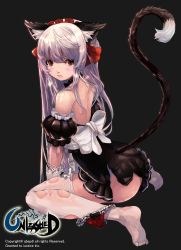 Rule 34 | 1girl, animal ears, apron, bare shoulders, cat ears, cat tail, detached collar, frilled panties, frills, gloves, grey background, highres, jpeg artifacts, long hair, looking at viewer, looking back, md5 mismatch, panties, panties around leg, qbspdl, red eyes, red panties, resized, resolution mismatch, silver hair, simple background, sitting, solo, source larger, tail, tears, thighhighs, torn clothes, torn thighhighs, underwear, unleashed, waist apron, wariza, watermark, white gloves, white thighhighs