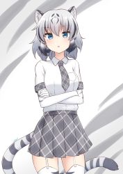 Rule 34 | 1girl, absurdres, animal ear fluff, animal ears, animal print, arms under breasts, black hair, blue eyes, commentary, cowboy shot, crossed arms, elbow gloves, extra ears, garter straps, gloves, grey necktie, grey skirt, hair between eyes, highres, kemono friends, looking at viewer, medium hair, multicolored hair, necktie, open mouth, plaid, plaid necktie, plaid skirt, plaid trim, pleated skirt, print gloves, print thighhighs, shiraha maru, shirt, short sleeves, simple background, skirt, solo, streaked hair, striped tail, tail, thighhighs, tiger ears, tiger girl, tiger print, tiger tail, two-tone hair, white garter straps, white hair, white shirt, white tiger (kemono friends), zettai ryouiki