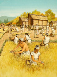 Rule 34 | 6+girls, asian, black hair, cabin, day, facial hair, full body, goatee, headband, hut, japanese (nationality), multiple boys, multiple girls, nature, old, old man, outdoors, rice, rice paddy, rice planting, standing, stick, tree, cane, yayoi period