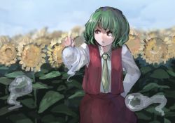 Rule 34 | 1girl, blurry, cowboy shot, day, depth of field, faux traditional media, field, flower, flower field, frown, green hair, hand on own hip, hitodama, holding, ichiba youichi, kazami yuuka, looking to the side, necktie, red eyes, short hair, sketch, sky, solo, sunflower, sunflower field, touhou, vest