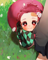 Rule 34 | 1boy, :3, animal ears, animal feet, animal hands, blush, checkered clothes, chibi, closed mouth, clothes grab, earrings, flower, grass, hair flower, hair ornament, haori, japanese clothes, jewelry, kamado tanjirou, kemonomimi mode, kimetsu no yaiba, long sleeves, looking at viewer, looking up, maga (chun), male focus, out of frame, petals, pink hair, ponytail, raccoon boy, raccoon ears, raccoon tail, red eyes, scar, scar on face, scar on forehead, short hair, smile, solo focus, standing, tail, white footwear, wide sleeves