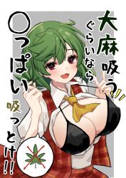Rule 34 | 1girl, absurdres, ascot, bikini, bikini pull, black bikini, breasts, cleavage, clothes pull, collared shirt, commentary request, green hair, grey background, highres, hira-san, kazami yuuka, large breasts, marijuana, open mouth, plaid, plaid skirt, plaid vest, pulling own clothes, red eyes, red skirt, red vest, shirt, short hair, short sleeves, simple background, skirt, smile, solo, speech bubble, swimsuit, touhou, translation request, upper body, vest, white shirt, yellow ascot
