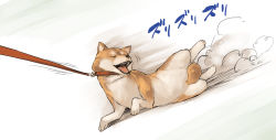 Rule 34 | :d, ^ ^, aaru (tenrake chaya), animal, animal collar, animal focus, buckle, closed eyes, collar, dog lead, full body, motion lines, no humans, open mouth, shiba inu, smile, smoke, text focus, translation request, whiskers