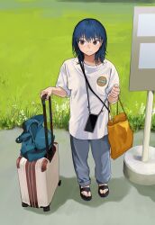 Rule 34 | 1girl, absurdres, black footwear, blue hair, blue pants, brown hair, cellphone, closed mouth, day, feet, full body, grass, hands up, highres, holding, holding luggage, looking at viewer, medium hair, mmmo3, original, outdoors, oversized clothes, pants, phone, sandals, shadow, shirt, short sleeves, smartphone, solo, t-shirt, toenails, toes, white shirt