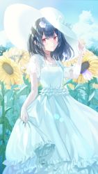 Rule 34 | 1girl, black hair, bow, breasts, closed mouth, commentary request, day, dress, flower, frilled dress, frills, haruri, hat, hat bow, highres, idolmaster, idolmaster shiny colors, looking at viewer, morino rinze, outdoors, red eyes, see-through, see-through sleeves, short sleeves, skirt hold, small breasts, smile, solo, standing, summer, sun hat, sunflower, white bow, white dress, white hat, yellow flower