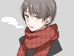 Rule 34 | 1boy, :d, blush, breath, checkered clothes, checkered scarf, chisumi, commentary request, copyright request, cropped torso, grey background, grey eyes, grey hair, hair between eyes, looking at viewer, male focus, open mouth, portrait, red scarf, scarf, simple background, smile, solo, upper body