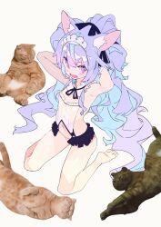 Rule 34 | 1girl, animal ear fluff, animal ears, armpits, arms behind head, backless outfit, blush, cat ears, character request, colored inner hair, copyright request, detached collar, embarrassed, feet, flat chest, full body, furrowed brow, hajime (hajime-ill-1st), high ponytail, highres, legs, lingerie, looking at viewer, maid, maid headdress, microskirt, multicolored hair, multiple cats, navel, open mouth, panties, photorealistic, purple eyes, purple hair, realistic, revealing clothes, sideless outfit, sitting, skirt, solo, two-tone hair, underwear, wariza, wavy mouth, white panties, yellow background