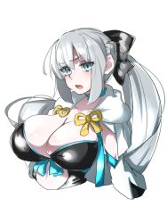 Rule 34 | 1girl, black bow, blue eyes, blush, bow, braid, breasts, center opening, cleavage, clothing cutout, fate/grand order, fate (series), french braid, grey hair, highres, large breasts, looking at viewer, morgan le fay (fate), open mouth, ponytail, ri o ne su, solo, stomach cutout, two-tone dress, upper body