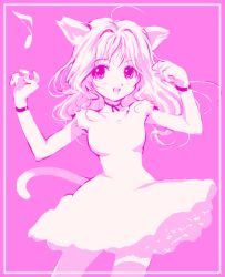 Rule 34 | 1girl, ahoge, animal ears, cat ears, cat tail, dress, kawamura takayasu, monochrome, musical note, pink background, pink theme, solo, tail