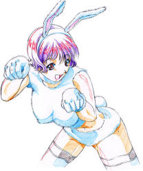 Rule 34 | 1girl, angora, animal ears, artist request, breasts, covered erect nipples, fur, gloves, large breasts, leaning forward, pink eyes, purple hair, rabbit ears, rabbit tail, short hair, simple background, solo, tail, thighhighs, traditional media, white background, zettai ryouiki