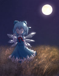 Rule 34 | 1girl, ^ ^, adapted costume, arinu, blue hair, bow, bowtie, cirno, closed eyes, dress, eating, closed eyes, field, full moon, hair bow, moon, night, short hair, sky, smile, solo, star (sky), starry sky, touhou, wings