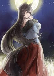 Rule 34 | 1girl, animal ears, black hair, blouse, breasts, from side, full moon, grey shirt, hand to own mouth, imaizumi kagerou, large breasts, long hair, looking at viewer, moon, outdoors, red eyes, scenery, shirt, solo, tail, touhou, wolf ears, wolf tail, yohane