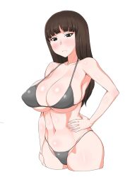 Rule 34 | 1girl, bikini, blush, breasts, brown eyes, brown hair, girls und panzer, hand on own hip, large breasts, long hair, looking at viewer, mature female, momozono, navel, nishizumi shiho, solo, swimsuit, white background