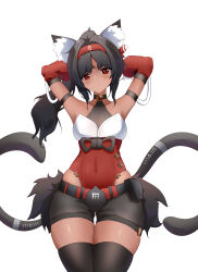 Rule 34 | 1girl, absurdres, animal ear fluff, armpits, arms behind head, belt, black hair, black shorts, black thighhighs, cat girl, cat tail, closed mouth, commentary request, dark-skinned female, dark skin, detached sleeves, highres, leotard, leotard under clothes, long hair, looking at viewer, nekomiya mana, red eyes, red leotard, red sleeves, shorts, simple background, solo, tail, thighhighs, white background, wide hips, zenless zone zero, ziluolan jia de mao