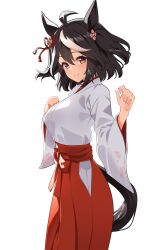 Rule 34 | 1girl, absurdres, alternate costume, animal ears, black hair, blush, breasts, closed mouth, clothing cutout, commentary request, ear ornament, from side, hair between eyes, hair ornament, hakama, highres, horse ears, horse girl, horse tail, japanese clothes, kitasan black (umamusume), long sleeves, medium breasts, miko, multicolored hair, red eyes, red hakama, simple background, smile, solo, streaked hair, sunny (20597521), tail, tail through clothes, two side up, umamusume, white background, white hair, wide sleeves