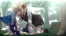 Rule 34 | 2girls, ascot, blonde hair, blue dress, blue hair, check translation, cirno, dress, face-to-face, forest, hair ornament, hair ribbon, ice, ice wings, kneeling, long sleeves, looking at another, md5 mismatch, multiple girls, nature, on ground, open mouth, red eyes, resized, resolution mismatch, ribbon, rumia, shirt, short hair, short sleeves, skirt, skirt set, source larger, terimayo, text focus, touhou, translation request, tree, tree shade, vest, wings, yuri